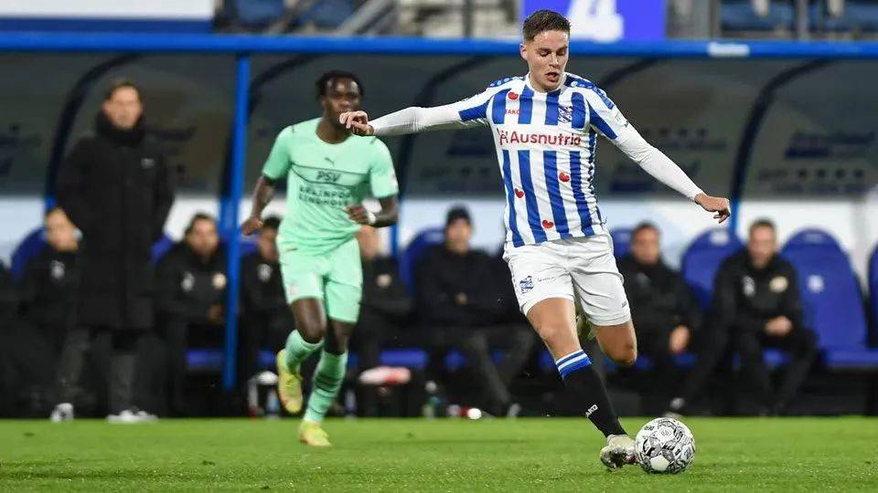 这种多样化 这种多样化